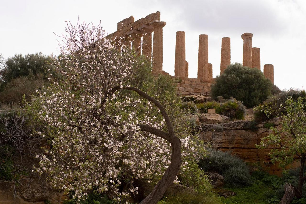 Il Portoncino ^ Apt.^ Agrigento Esterno foto